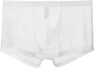 Breathable Ice Silk Men's Boxer Briefs See-Through Underwear Trunk Transparent Stretch Underwear 2025 Date Night