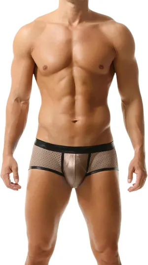 Briefs for Men Stretch Breathable Underpants Tagless Low Rise Underwear Fashion Bronzing Shorts Sexy Enhanced Lift Pouch