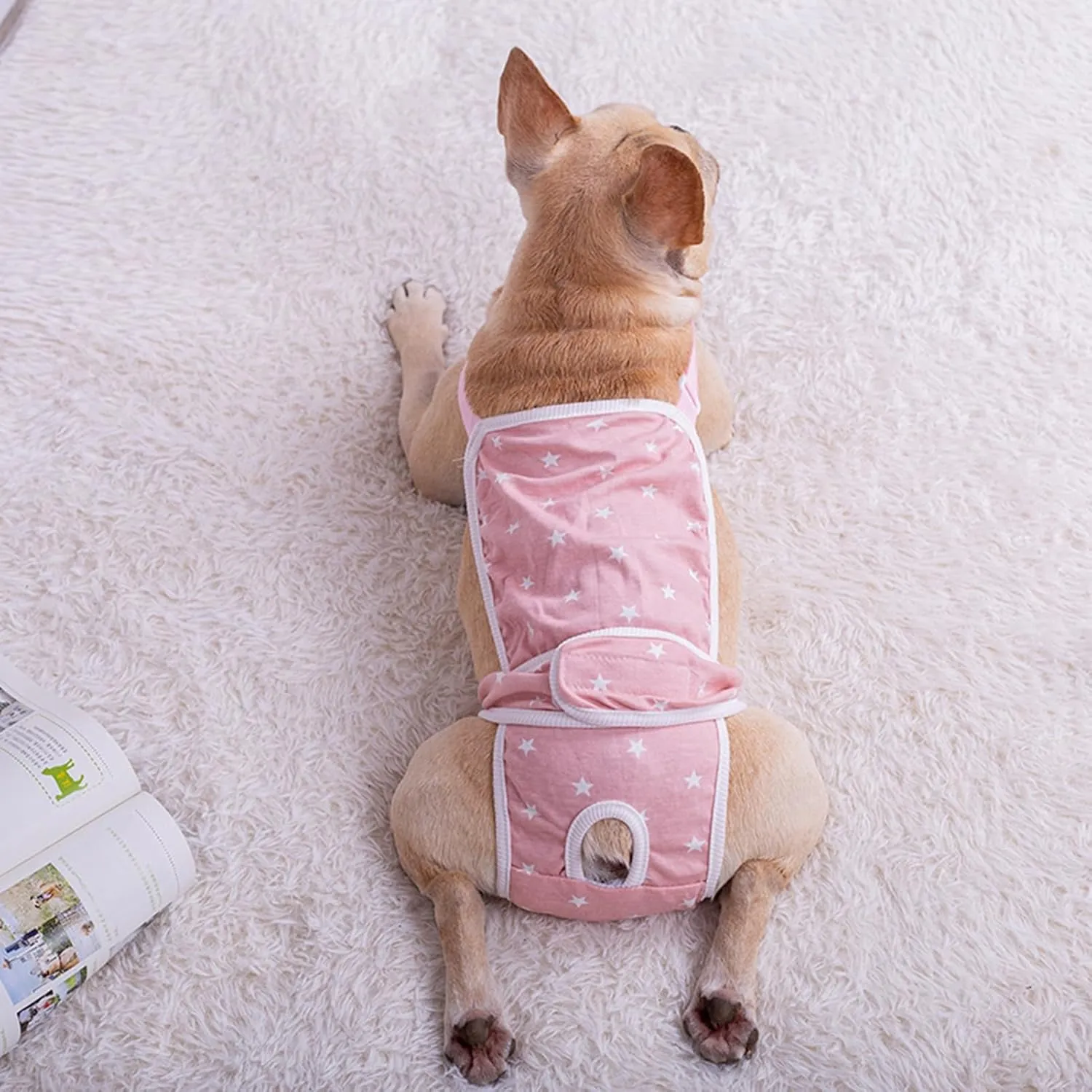 French Bulldog Shorts Diaper Pants Fashionable and Functional