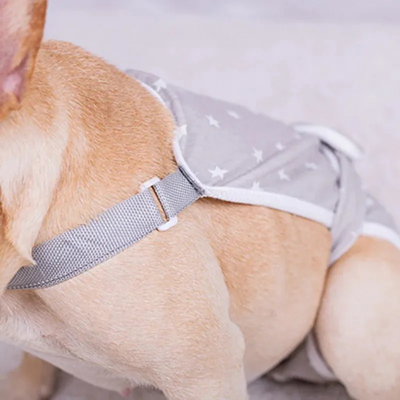 French Bulldog Shorts Diaper Pants Fashionable and Functional