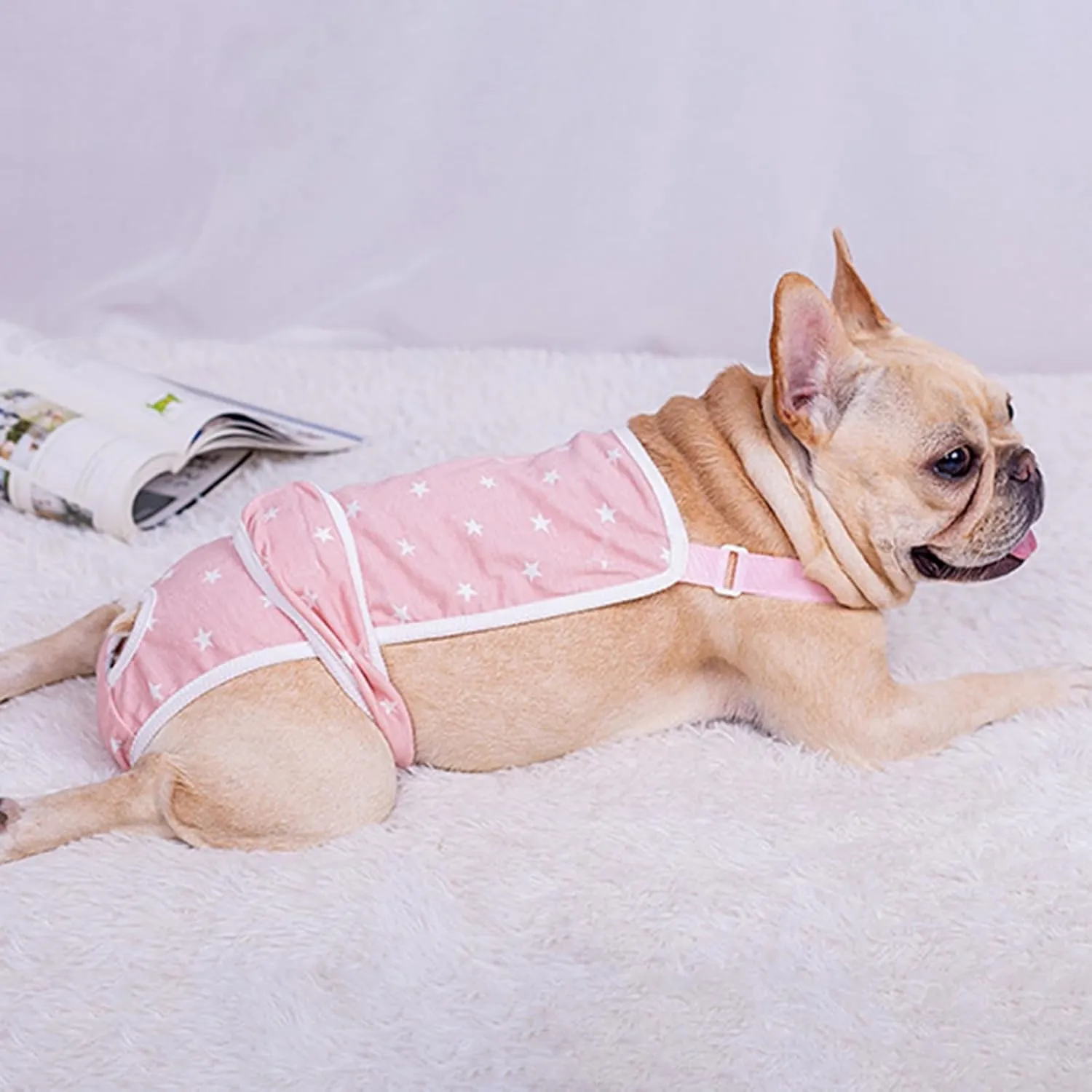 French Bulldog Shorts Diaper Pants Fashionable and Functional
